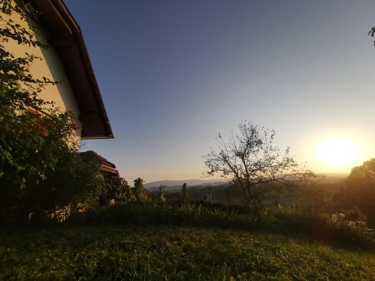 Apartma Pusa Pesnica pri Mariboru Luaran gambar