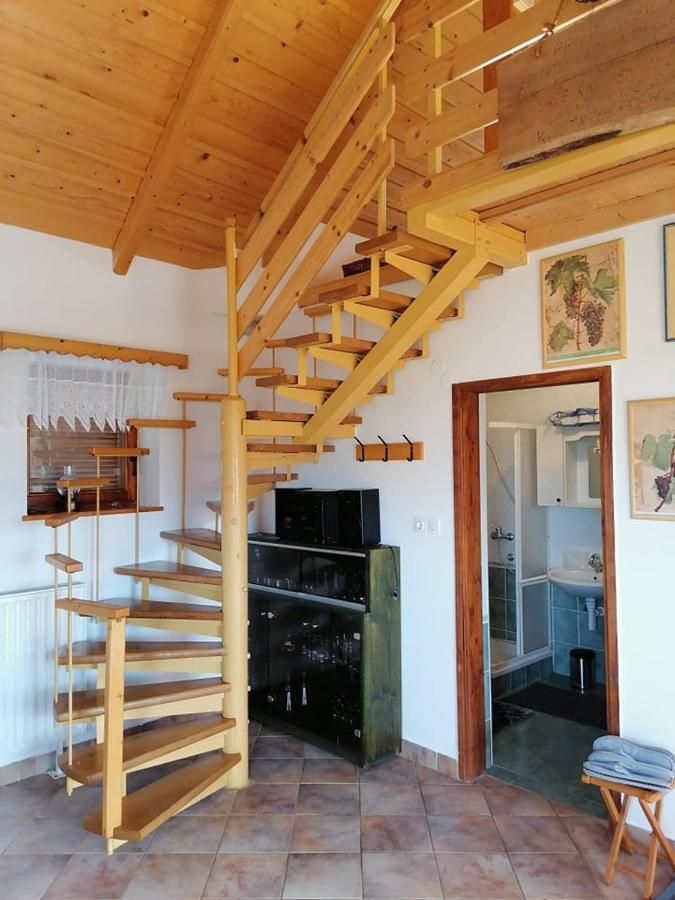 Apartma Pusa Pesnica pri Mariboru Luaran gambar