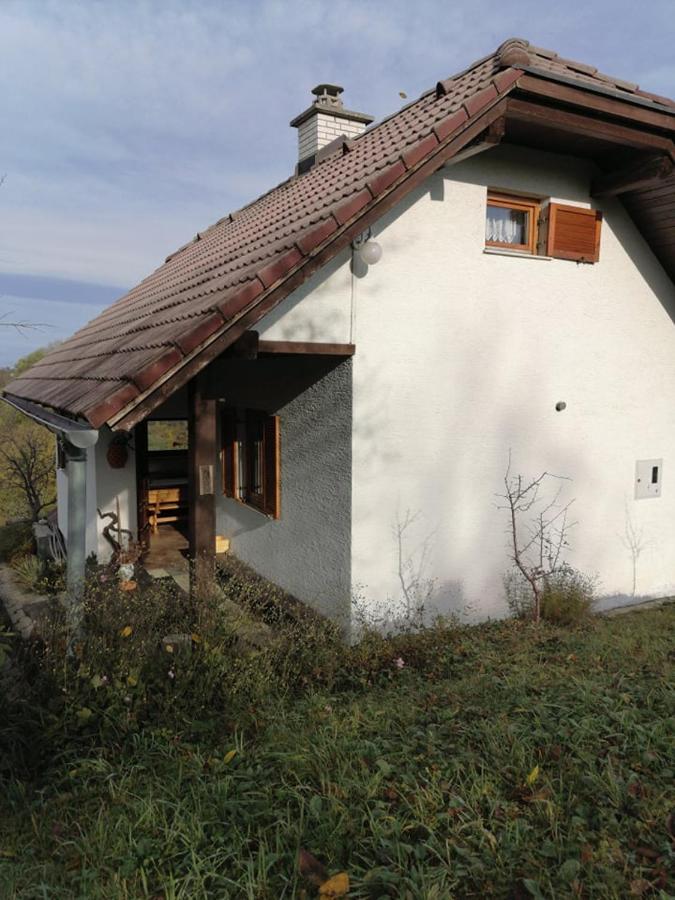 Apartma Pusa Pesnica pri Mariboru Luaran gambar