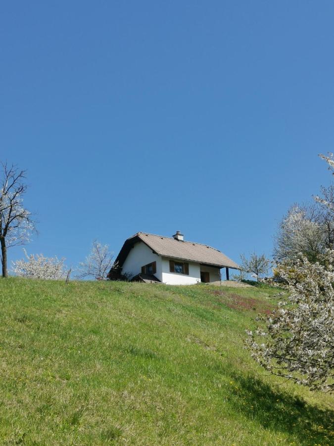 Apartma Pusa Pesnica pri Mariboru Luaran gambar
